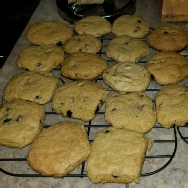 Never Fail Chocolate Chip Cookies