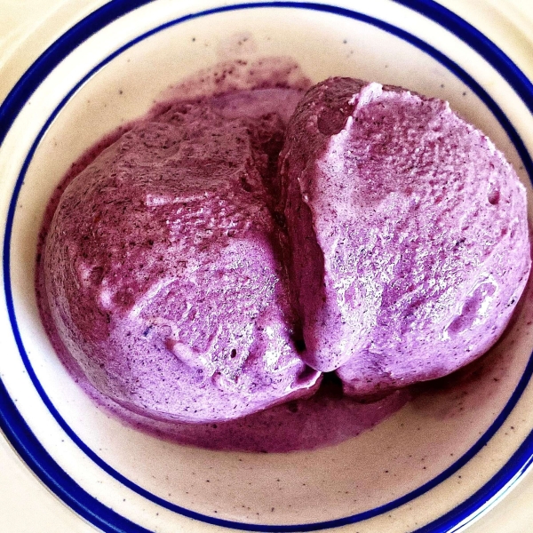 Blueberry Ice Cream