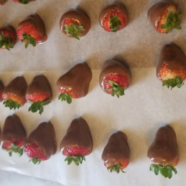 Chocolate Strawberries