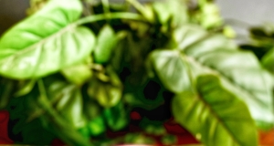 Chilled Strawberry Soup