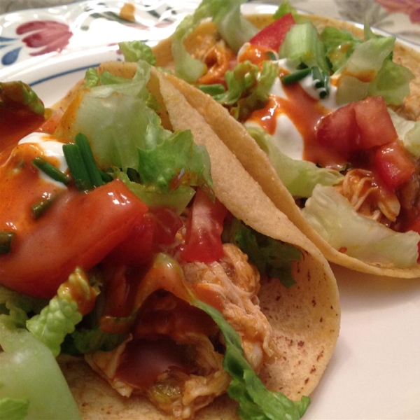 Beer-Braised Chicken Tacos