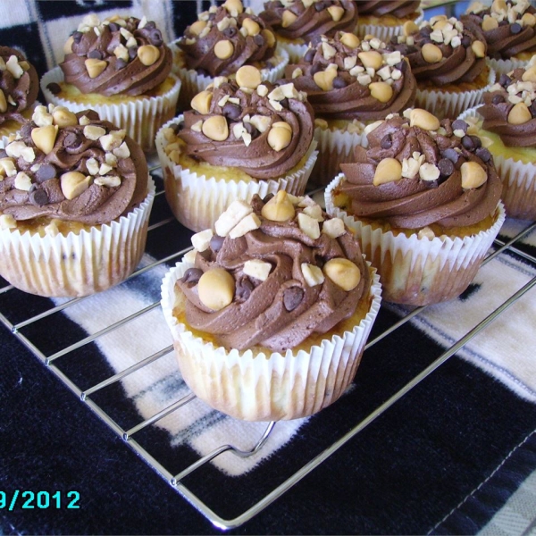 Everything Cupcakes