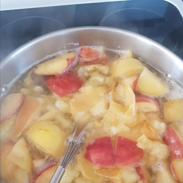 Fresh, Homemade Apple Juice