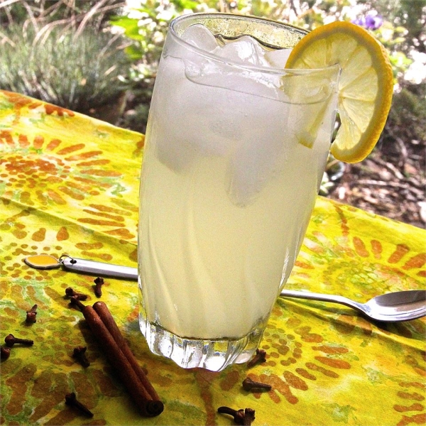 Spiced Lemonade Concentrate