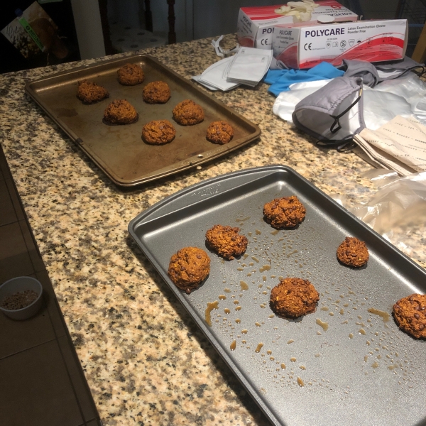 Healthy Vegan Pumpkin Oat Chocolate Chip Cookies