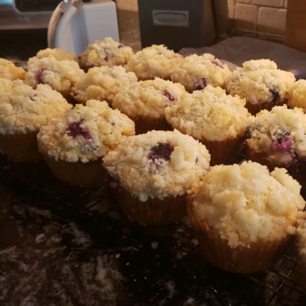 Blueberry Bread I