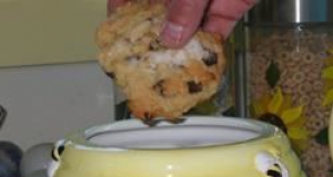Date Drop Cookies I