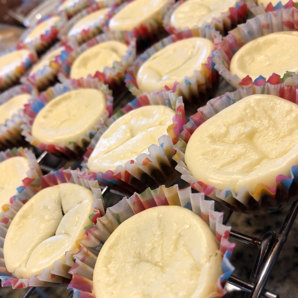 Mini Chocolate Hazelnut Cheesecakes