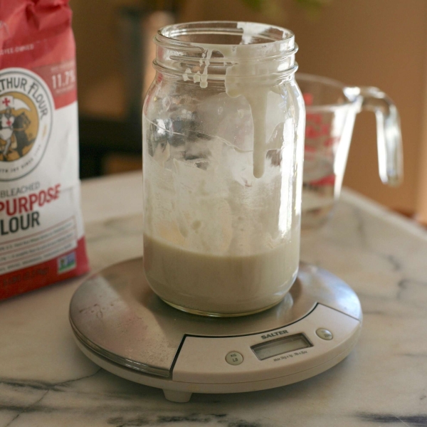 Chef John's Sourdough Starter