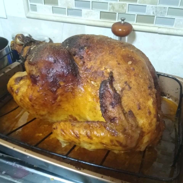 Spicy Roast Turkey