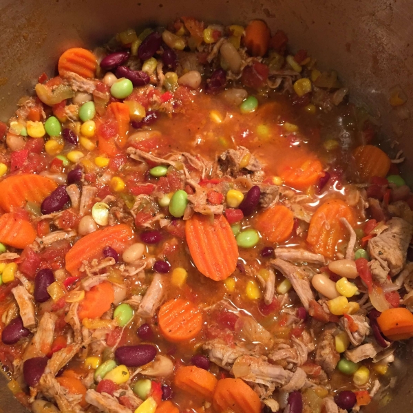Tender Pork Stew with Beans