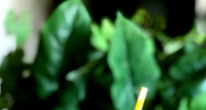 Morning Joe Smoothie