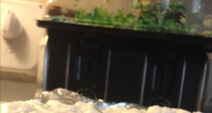 Double-Decker Marshmallow Fudge