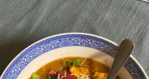 Chicken Enchilada Soup II