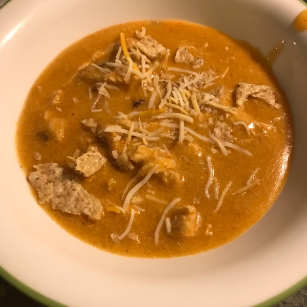 Chicken Enchilada Soup II