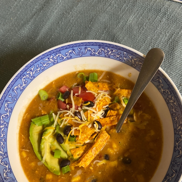 Chicken Enchilada Soup II