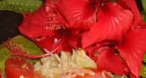 Hawaiian Green Papaya Salad