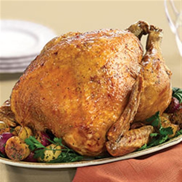 Succulent Deep Fried Turkey