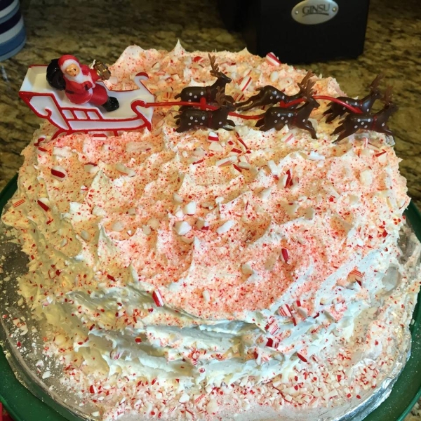 Chocolate-Candy Cane Cake