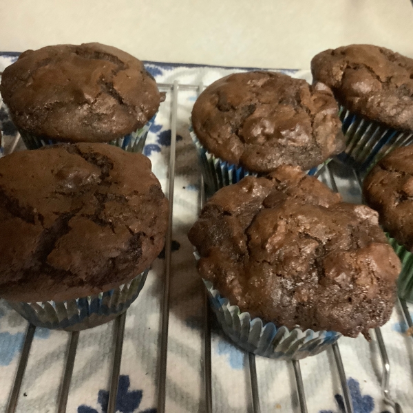 Chocolate Chocolate Chip Muffins