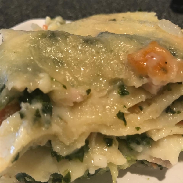Turkey Lasagna