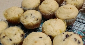 Chocolate Chip Muffins II