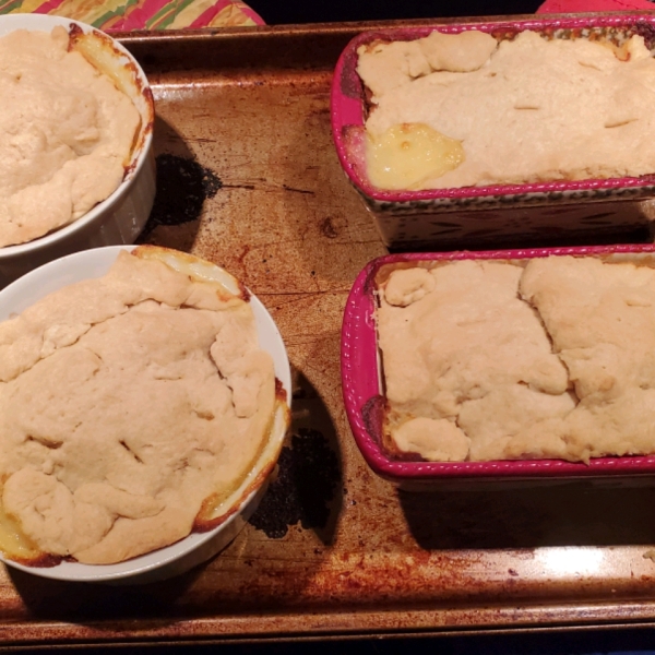 Chicken or Turkey Pot Pie