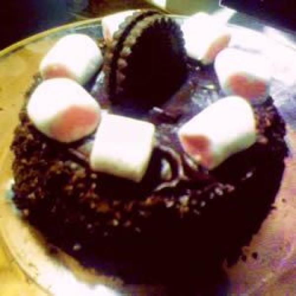 Microwave Mississippi Mud Cake I