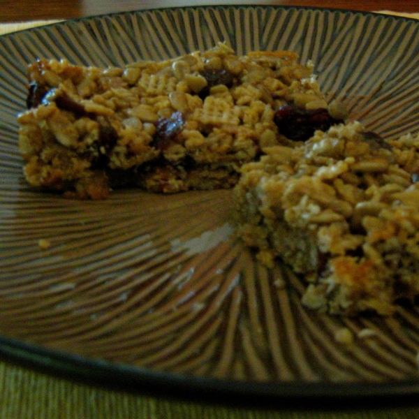 SunButter® and Honey Fruit Trail Bars