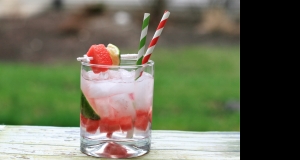 Watermelon Gin and Tonic