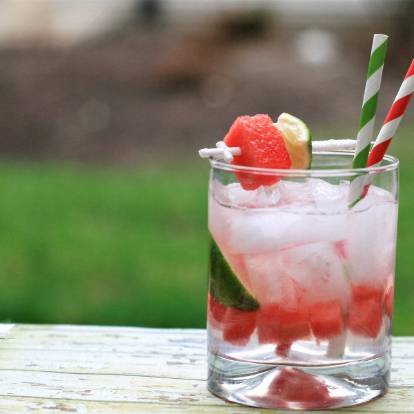 Watermelon Gin and Tonic