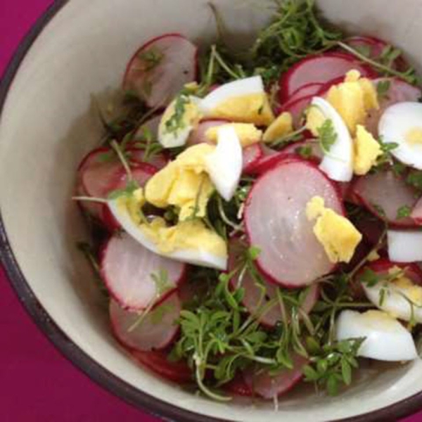Spring Radish Salad with Egg and Garden Cress