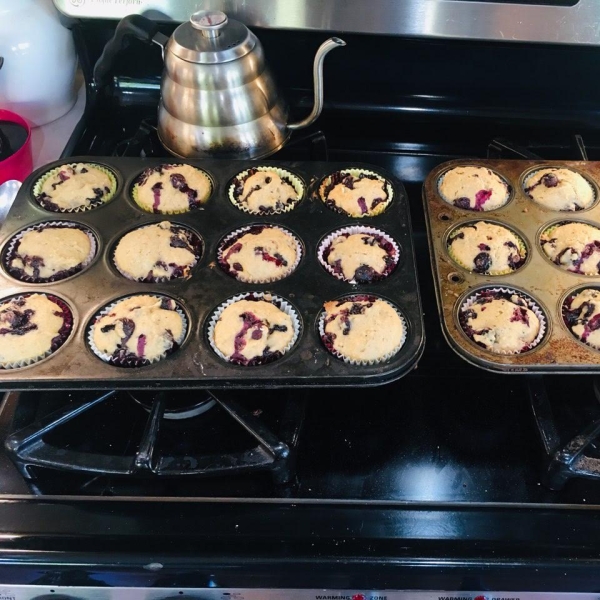 Vegan Blueberry Muffins with Applesauce