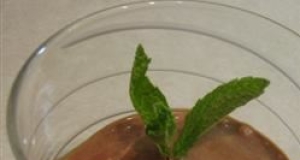 Bittersweet Chocolate and Stout Beer Ice Cream