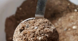 Shawarma Seasoning