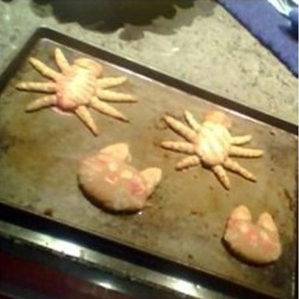 Huge Scary Spiders