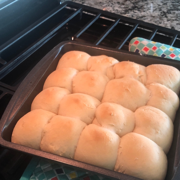 Herman Dinner Rolls