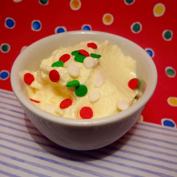 Fast and Easy Creamy Ice Cream