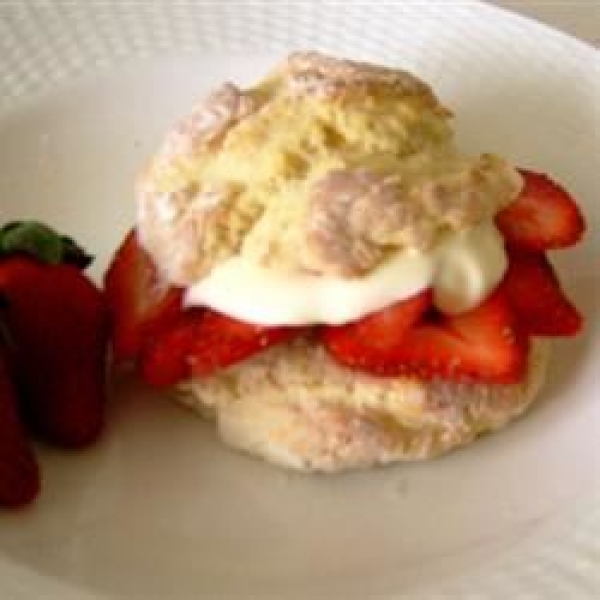 Super Easy Scones