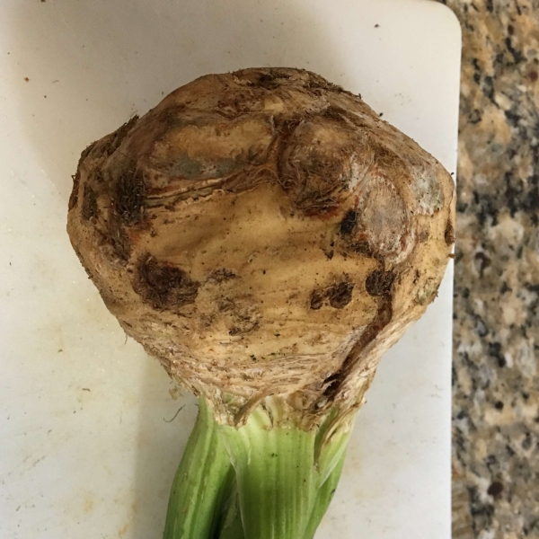 Celery Root Puree