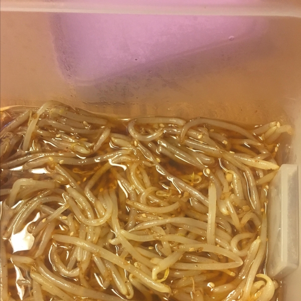 Kongnamool (Korean Soybean Sprouts)