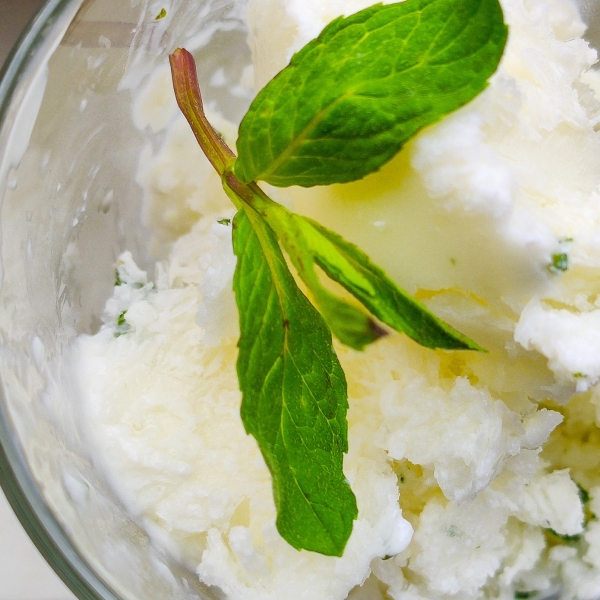 Frozen Greek Yogurt