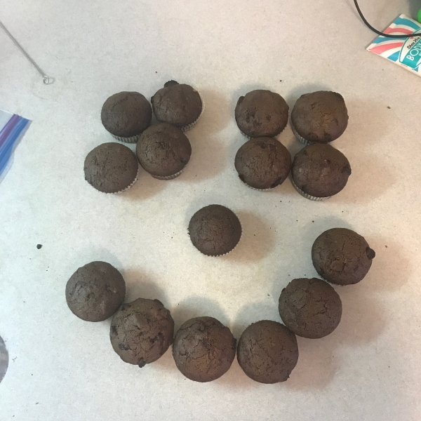 Chocolate Chocolate Chip Nut Muffins