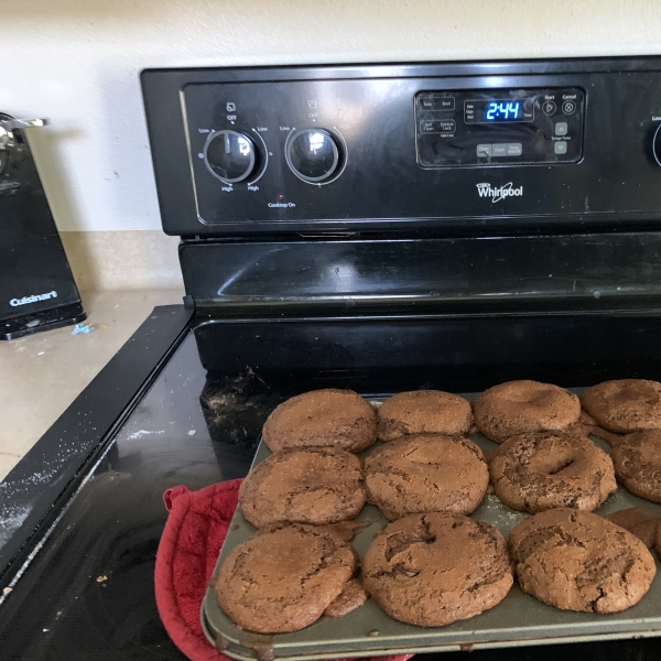 Chocolate Chocolate Chip Nut Muffins