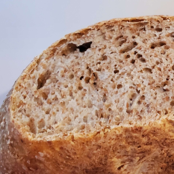 Dutch Oven Whole Wheat Bread