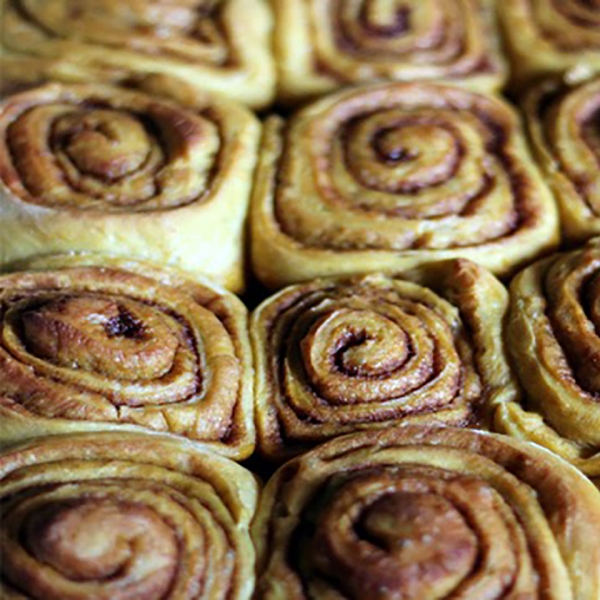 Pumpkin Cinnamon Rolls with Cream Cheese Frosting