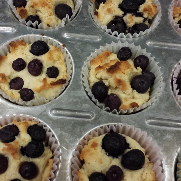Gluten Free Blueberry Muffins