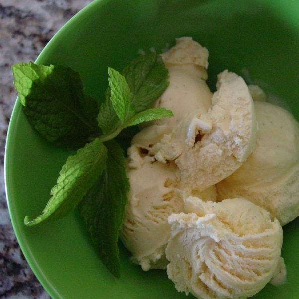 Vanilla Ice Cream VII