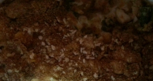 Asparagus Casserole