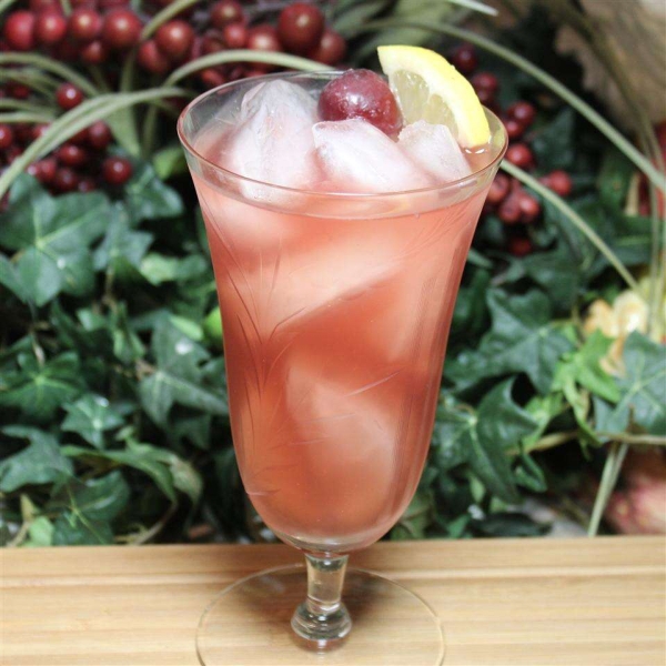 Cherry Ginger Infused Tea